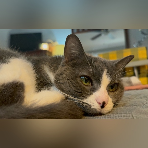 Meet your Posher, Emilee - Picture 10 of 10